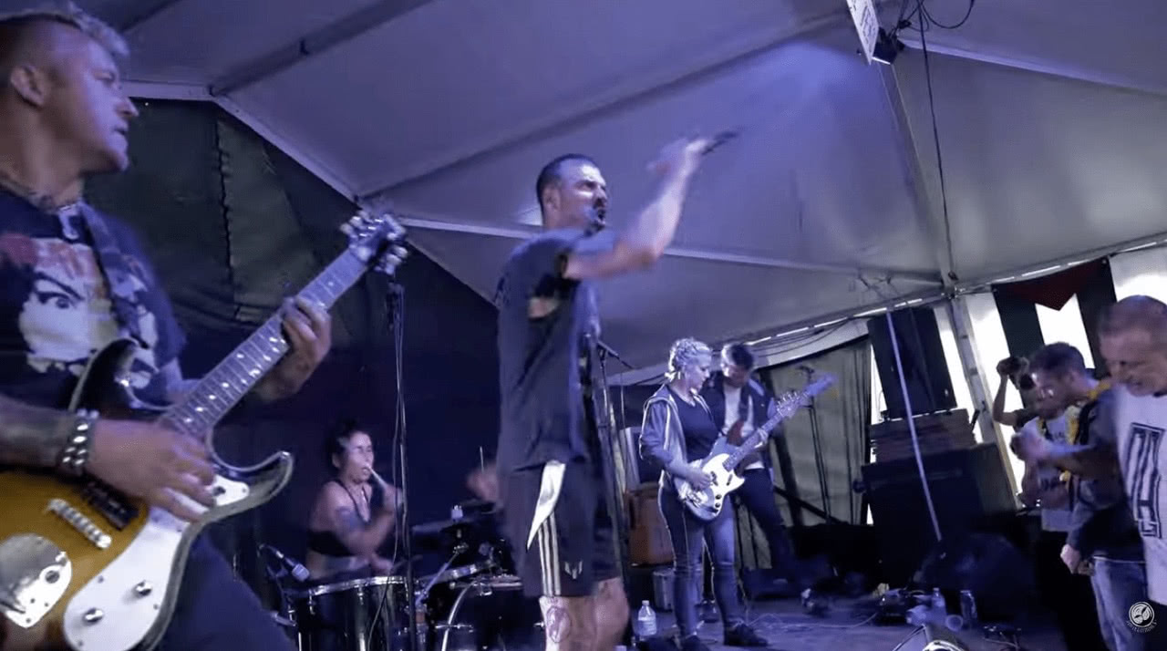 Camellia Sinensis, Lille